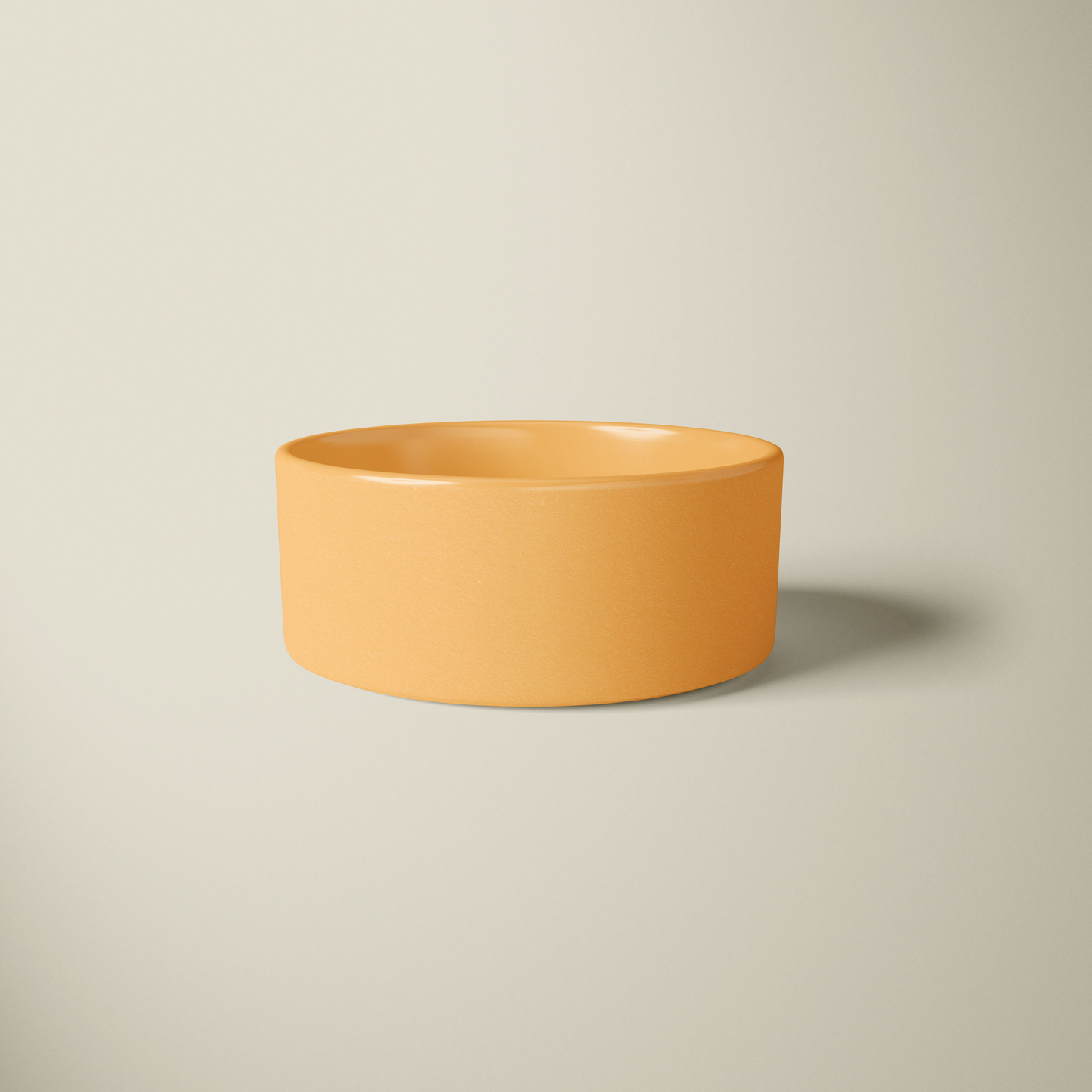 Chic Food Bowl