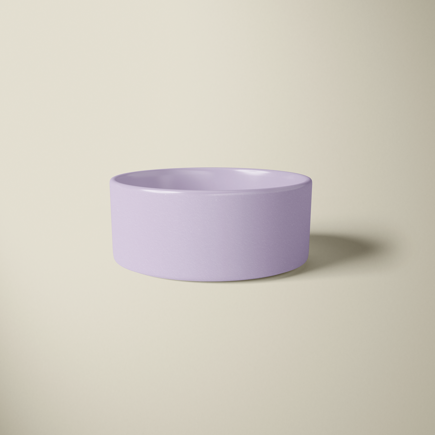 Chic Food Bowl
