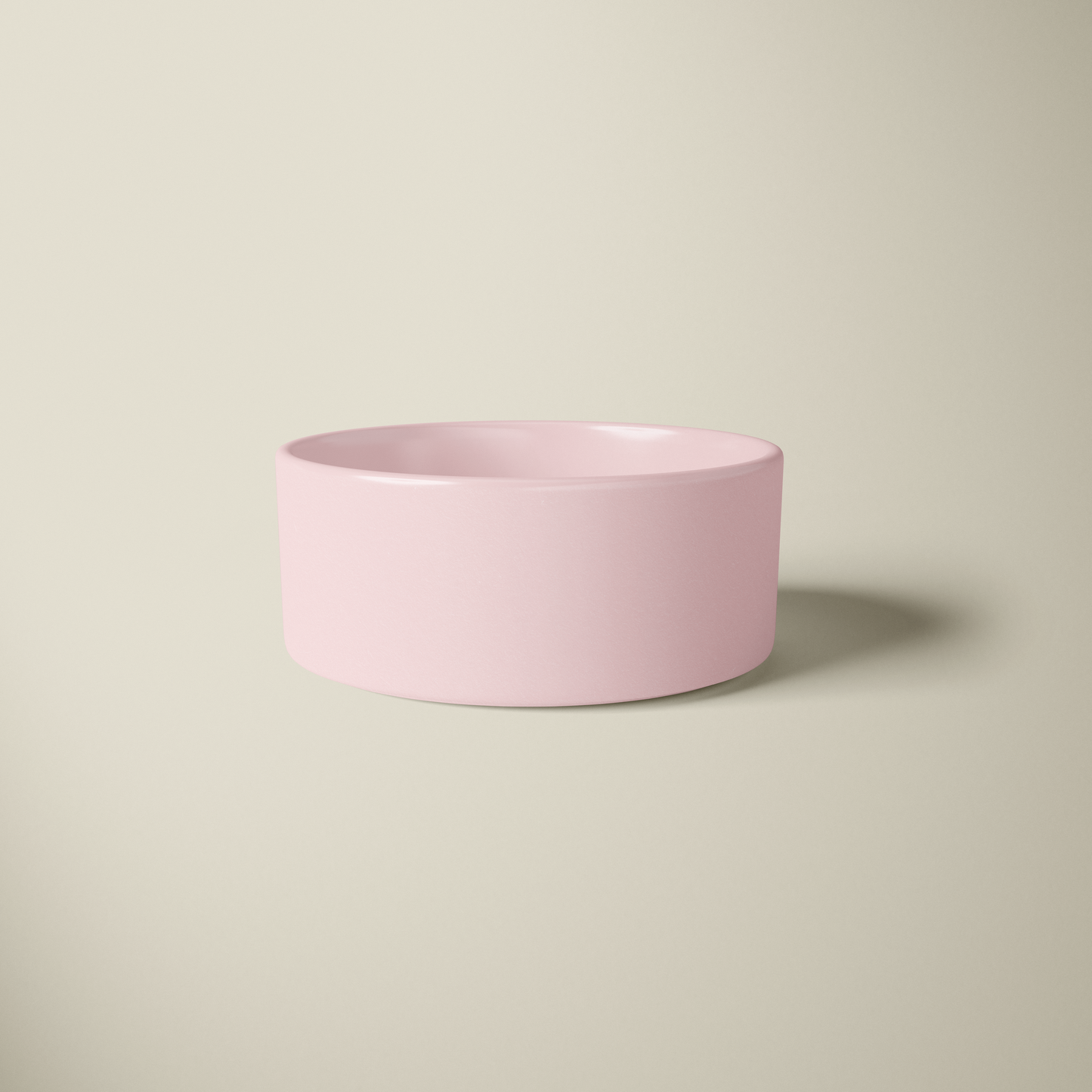 Chic Food Bowl